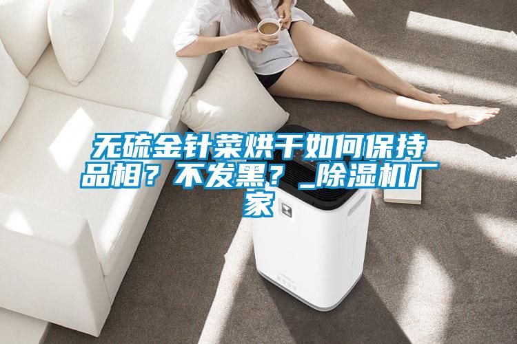 無硫金針菜烘干如何保持品相？不發(fā)黑？_除濕機廠家