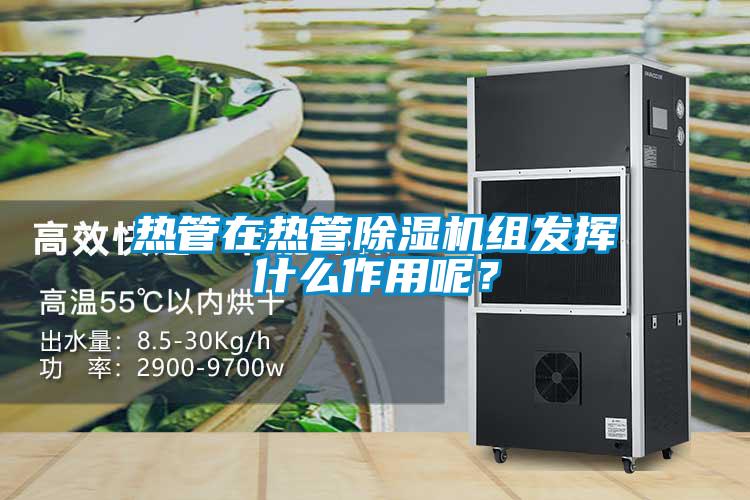 熱管在熱管除濕機組發揮什么作用呢?