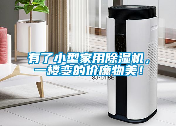 有了小型家用除濕機(jī),一樓變的價(jià)廉物美!