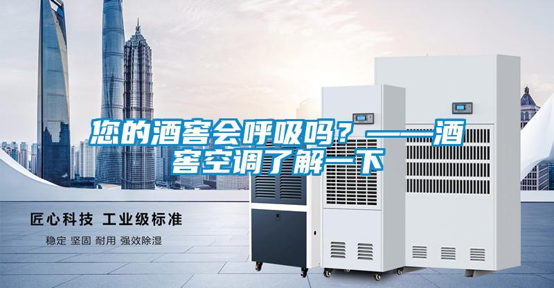 您的酒窖會呼吸嗎？——酒窖空調了解一下