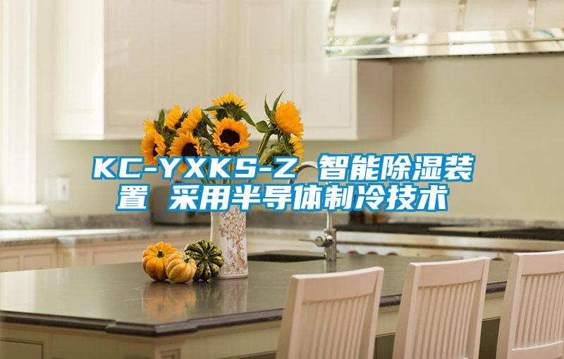 KC-YXKS-Z 智能除濕裝置 采用半導(dǎo)體制冷技術(shù)