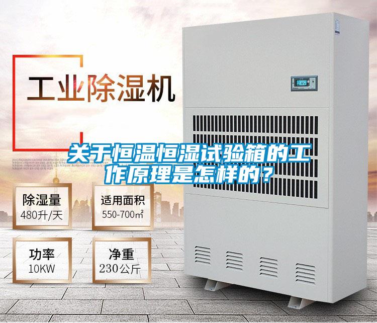 關于恒溫恒濕試驗箱的工作原理是怎樣的？