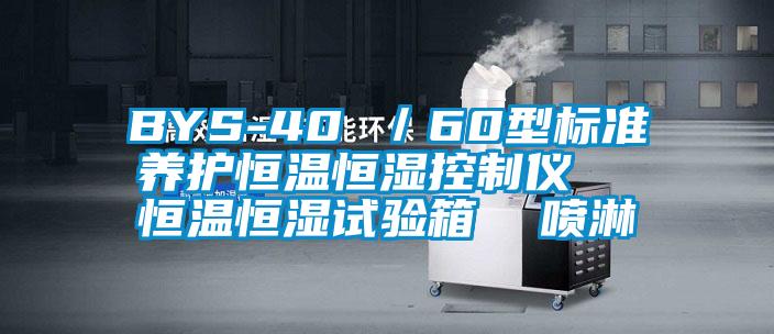 BYS-40 /60型標準養護恒溫恒濕控制儀 恒溫恒濕試驗箱 噴淋
