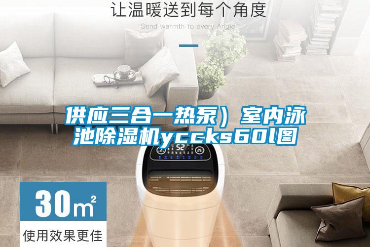 供應(yīng)三合一熱泵)室內(nèi)泳池除濕機yccks60l圖