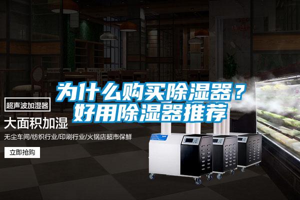 為什么購買除濕器？好用除濕器推薦