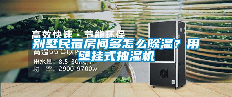 別墅民宿房間多怎么除濕？用壁掛式抽濕機
