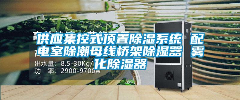 供應集控式頂置除濕系統 配電室除潮母線橋架除濕器 霧化除濕器