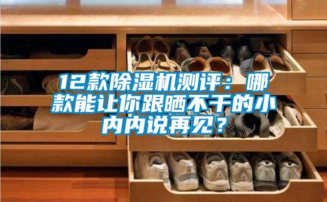 12款除濕機測評：哪款能讓你跟曬不干的小內(nèi)內(nèi)說再見？