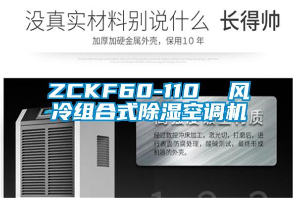 ZCKF60-110 風冷組合式除濕空調機