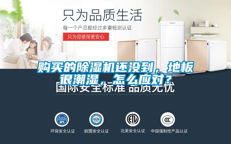 購買的除濕機還沒到，地板很潮濕，怎么應對？