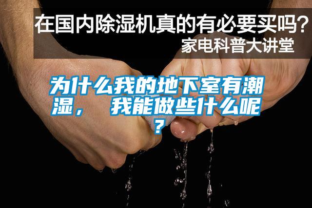 為什么我的地下室有潮濕， 我能做些什么呢？