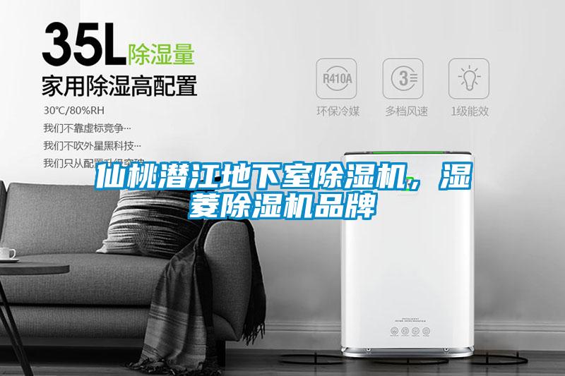 仙桃潛江地下室除濕機(jī),濕菱除濕機(jī)品牌