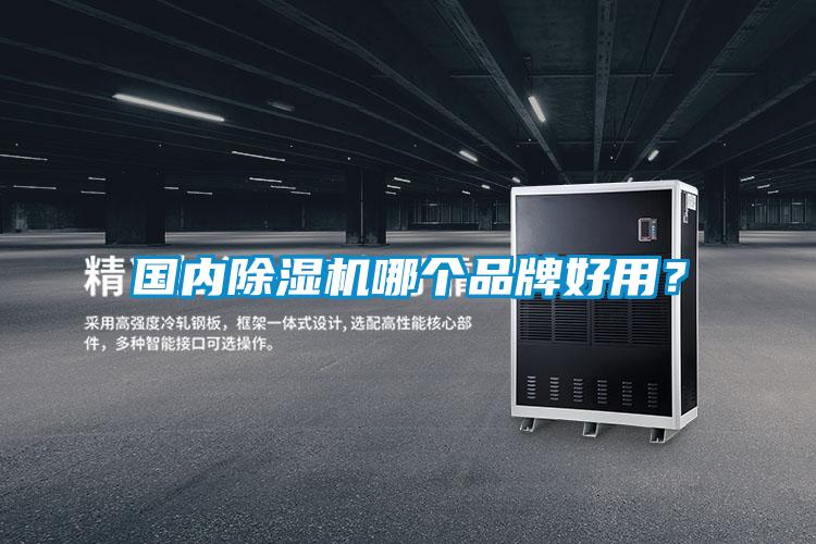 國(guó)內(nèi)除濕機(jī)哪個(gè)品牌好用？