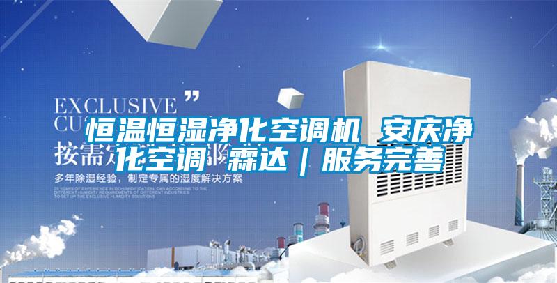恒溫恒濕凈化空調(diào)機 安慶凈化空調(diào) 霖達|服務完善