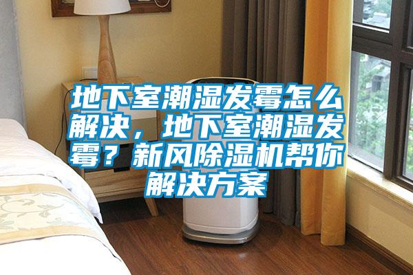 地下室潮濕發(fā)霉怎么解決，地下室潮濕發(fā)霉？新風(fēng)除濕機(jī)幫你解決方案