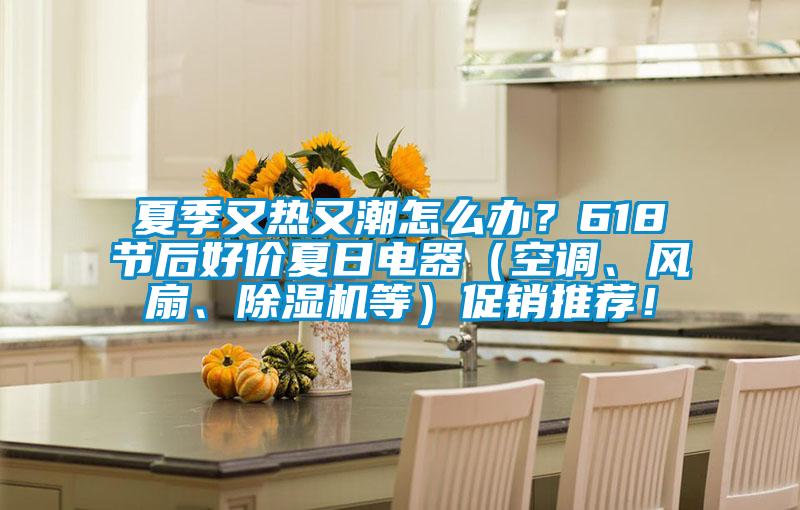 夏季又熱又潮怎么辦？618節后好價夏日電器（空調、風扇、除濕機等）促銷推薦！