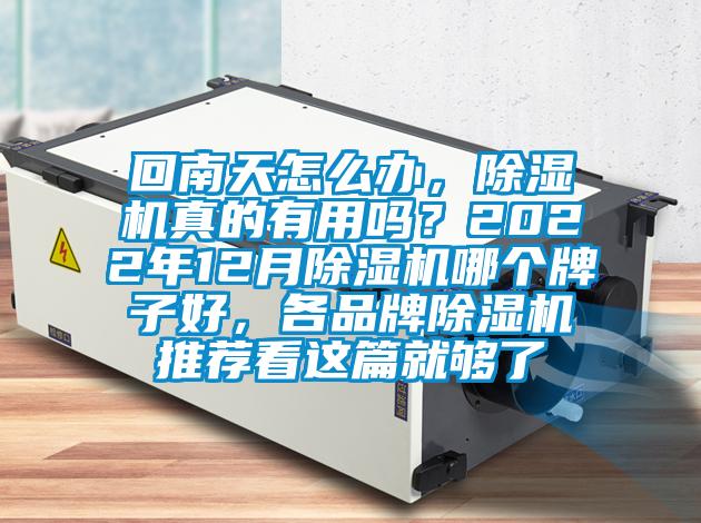 回南天怎么辦，除濕機真的有用嗎？2022年12月除濕機哪個牌子好，各品牌除濕機推薦看這篇就夠了