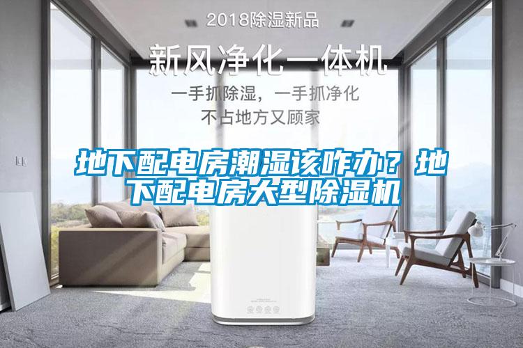 地下配電房潮濕該咋辦？地下配電房大型除濕機