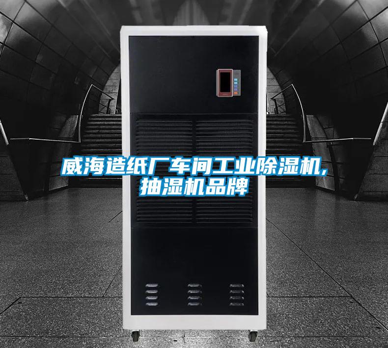 威海造紙廠車間工業(yè)除濕機(jī),抽濕機(jī)品牌