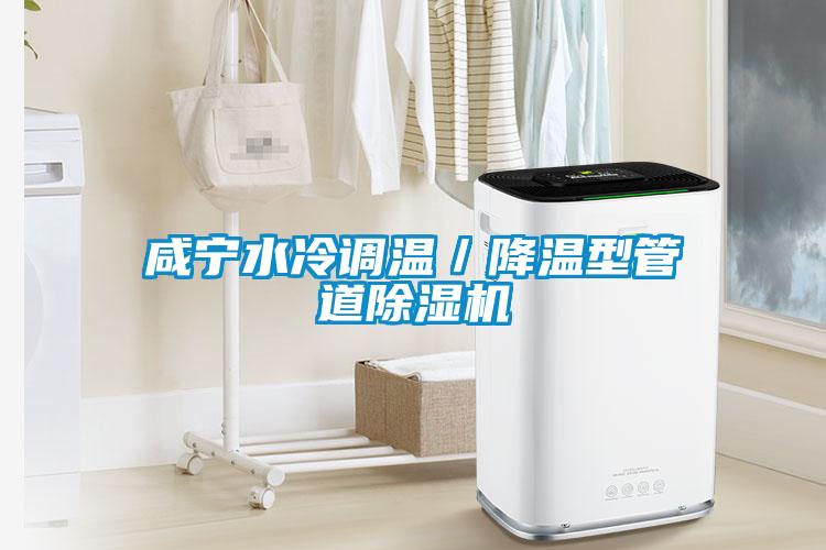 咸寧水冷調溫/降溫型管道除濕機