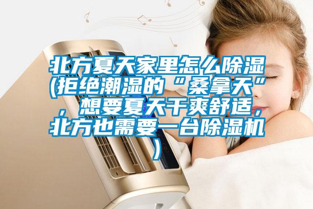北方夏天家里怎么除濕(拒絕潮濕的“桑拿天”,想要夏天干爽舒適,北方也需要一臺除濕機)