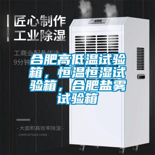 合肥高低溫試驗箱,恒溫恒濕試驗箱,合肥鹽霧試驗箱
