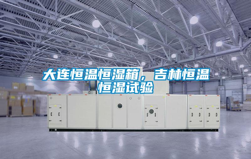 大連恒溫恒濕箱,吉林恒溫恒濕試驗