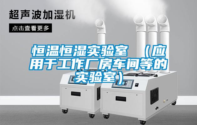恒溫恒濕實(shí)驗(yàn)室 (應(yīng)用于工作廠房車間等的實(shí)驗(yàn)室)