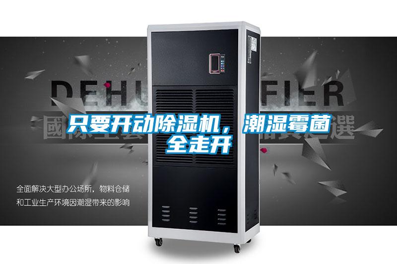 只要開動除濕機，潮濕霉菌全走開