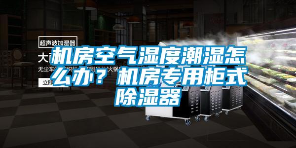 機房空氣濕度潮濕怎么辦?機房專用柜式除濕器