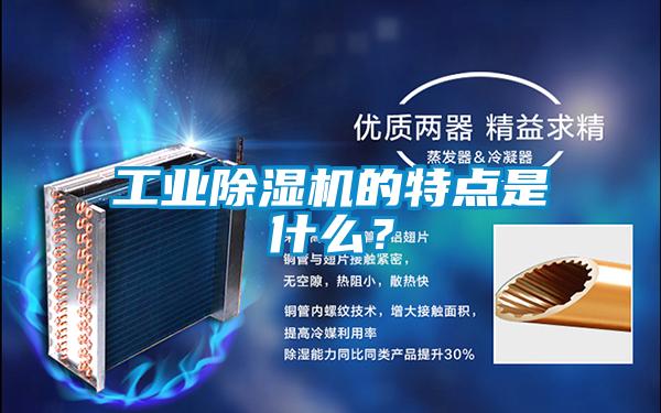 工業除濕機的特點是什么？