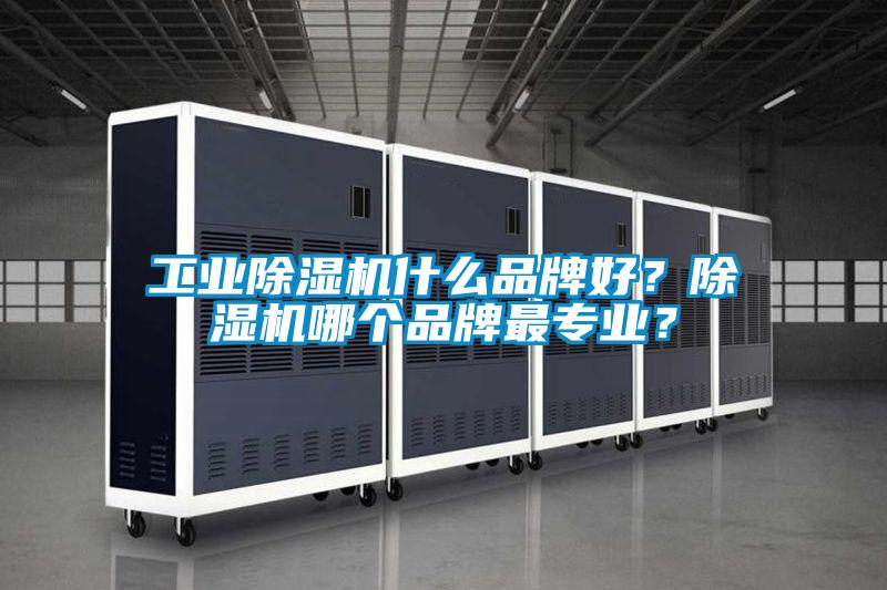 工業除濕機什么品牌好?除濕機哪個品牌最專業?