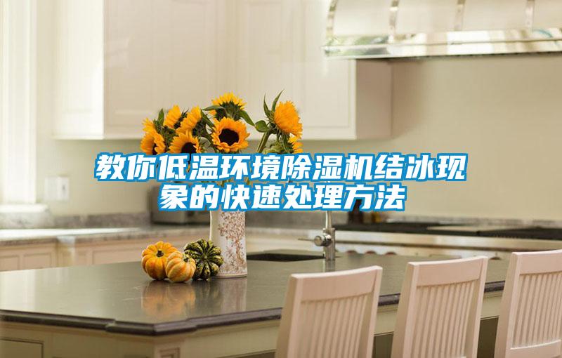 教你低溫環(huán)境除濕機結冰現(xiàn)象的快速處理方法