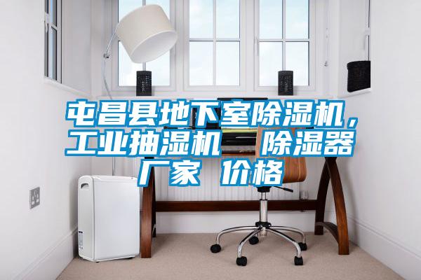 屯昌縣地下室除濕機，工業抽濕機  除濕器廠家 價格