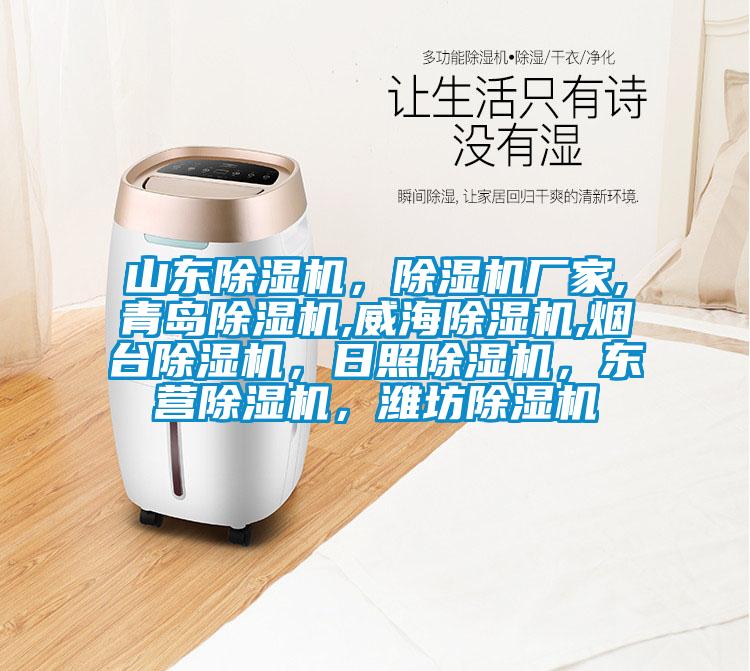 山東除濕機(jī)，除濕機(jī)廠家,青島除濕機(jī),威海除濕機(jī),煙臺除濕機(jī)，日照除濕機(jī)，東營除濕機(jī)，濰坊除濕機(jī)