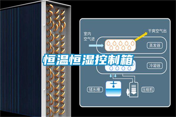 恒溫恒濕控制箱