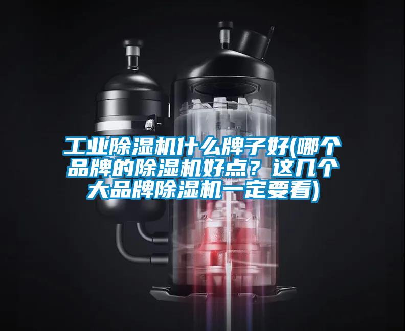 工業(yè)除濕機什么牌子好(哪個品牌的除濕機好點?這幾個大品牌除濕機一定要看)