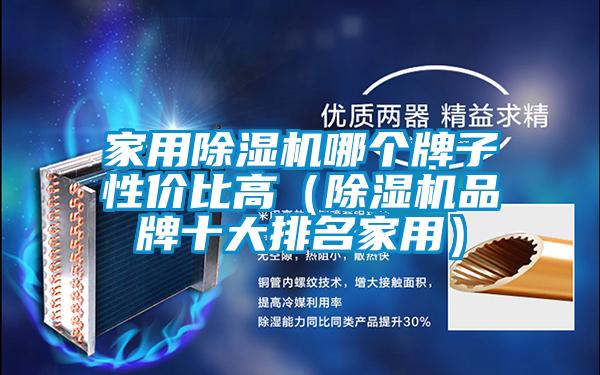 家用除濕機(jī)哪個(gè)牌子性價(jià)比高(除濕機(jī)品牌十大排名家用)