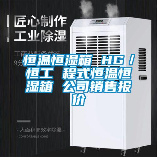 恒溫恒濕箱 HG/恒工 程式恒溫恒濕箱 公司銷售報(bào)價(jià)