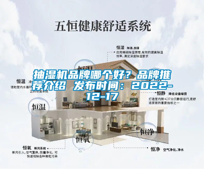 抽濕機品牌哪個好?品牌推薦介紹 發布時間:2022-12-17