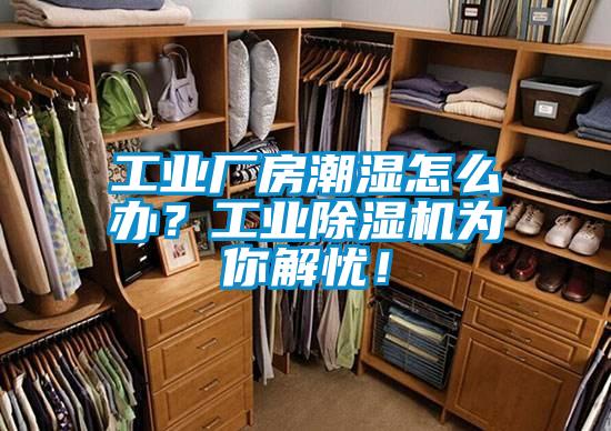 工業廠房潮濕怎么辦?工業除濕機為你解憂!