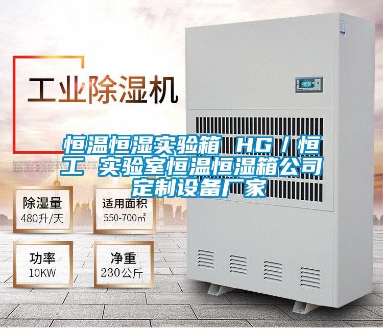恒溫恒濕實驗箱 HG/恒工 實驗室恒溫恒濕箱公司 定制設(shè)備廠家