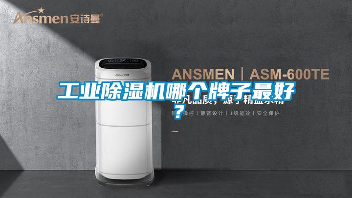 工業(yè)除濕機(jī)哪個(gè)牌子最好?