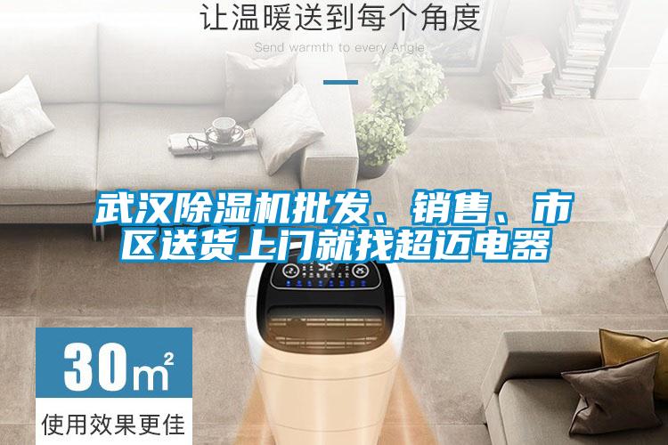 武漢除濕機批發、銷售、市區送貨上門就找超邁電器