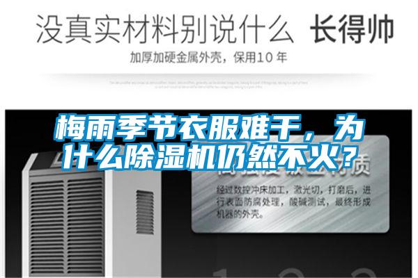 梅雨季節(jié)衣服難干,為什么除濕機(jī)仍然不火?