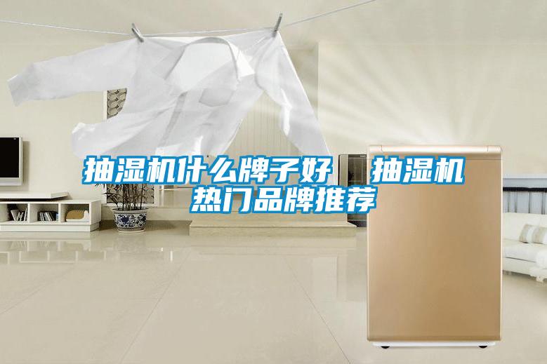 抽濕機什么牌子好 抽濕機 熱門品牌推薦