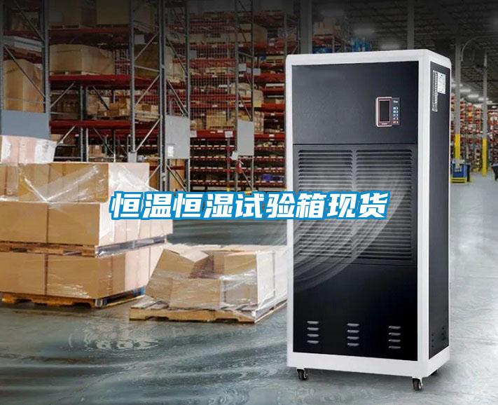 恒溫恒濕試驗(yàn)箱現(xiàn)貨