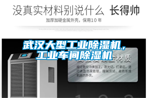 武漢大型工業(yè)除濕機(jī),工業(yè)車間除濕機(jī)