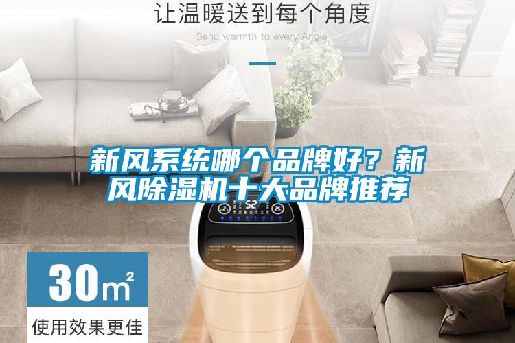 新風系統(tǒng)哪個品牌好？新風除濕機十大品牌推薦