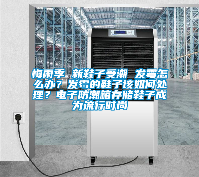 梅雨季 新鞋子受潮 發(fā)霉怎么辦?發(fā)霉的鞋子該如何處理?電子防潮箱存儲鞋子成為流行時尚